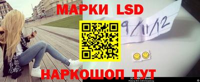 прущие грибы Будённовск