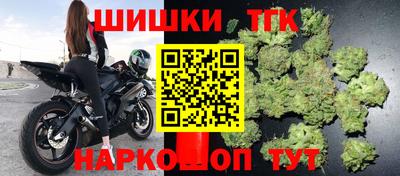 прущие грибы Будённовск