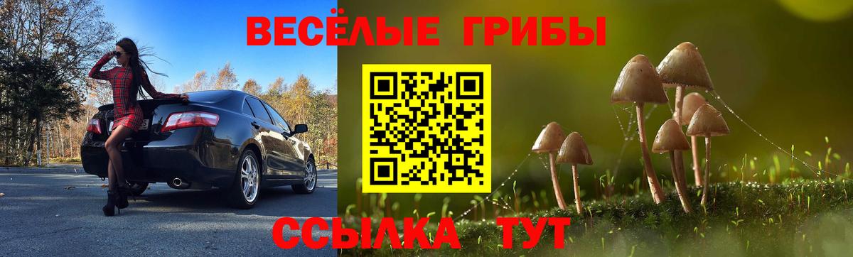 Псилоцибиновые грибы GOLDEN TEACHER  Галлюциногенные грибы MAGIC MUSHROOMS  Вход с VPN  Люберцы 
